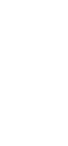 Nokkapyörät