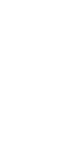 Naulainkaasut