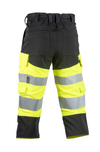 Turva caprit, Dimex 2