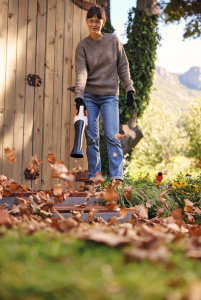 BGA 30.0 SET Akkupuhallin, Stihl 6