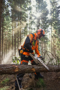 MSA 260.0 C-O Akkukäyttöinen moottorisaha, Stihl 5