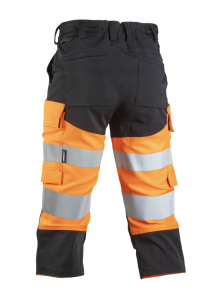 Turva caprit, Dimex 2