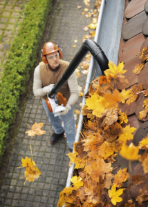 BG 56 Puhallin, Stihl 4