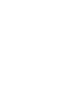 Vaijerit