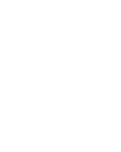 Levittimet
