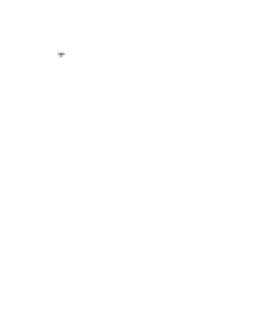 Paluusuodattimet