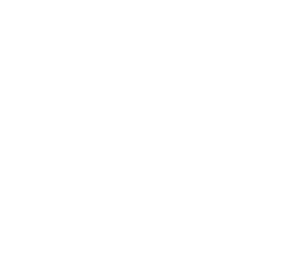 Lujuusluokka 4.6