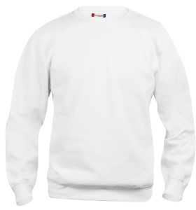 BASIC ROUNDNECK JR 7