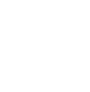 Essut