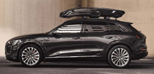 Thule Vector Alpine Kiiltävä Musta 2