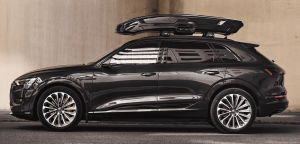 Thule Vector Alpine Kiiltävä Musta 6
