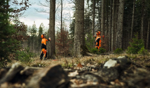 Vyötäröhousut DYNAMIC DuroTEC SZ, Stihl 4