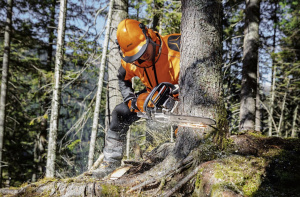 MS 261 C-M Moottorisaha.14" .325" Rs 1,3mm, Stihl 4
