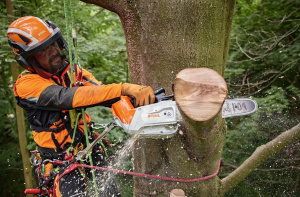 MSA  220.0 Tc-O Akkuketjusaha - 30 cm, Stihl 4
