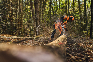 MSA 260.0 C-O Akkukäyttöinen moottorisaha, Stihl 13