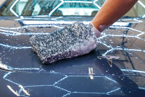 Pesukinnas King Carthur Premium Microfiber, Pelkkä kinnas 6