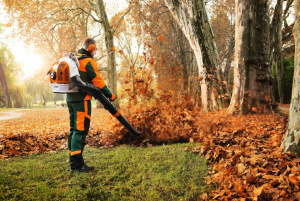 BR 700 Reppupuhallin, Stihl 4