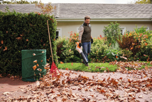 BGA 50.0 Akkupuhallin, Stihl 4