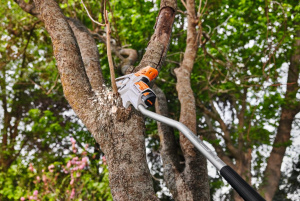 Pidennyskappale GTA 26, Stihl 6