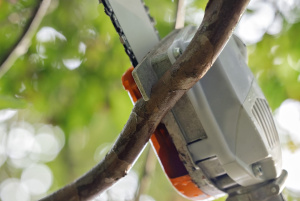 HTA 86 Oksasaha  1/4"P 30 cm, Pm3 Ia, Stihl 4
