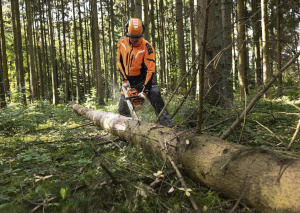 MSA 300.0 C-O Akkuketjusaha - 35 cm, Stihl 4