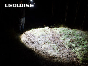 LEDWISE ROGUE LED MINITASKULAMPPU 8