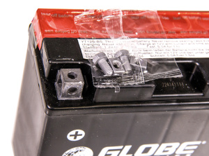 GLOBE AGM 12V 10AH 150X69X130 +/- 110A (EN) 3