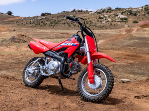 Honda CRF50F 49cc, 4-tahti crossipyörä 2024 2