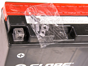 GLOBE AGM 12V 12AH 150X69X145 +/- 150A (EN) 3
