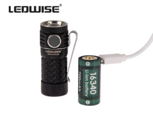 LEDWISE ROGUE LED MINITASKULAMPPU 12
