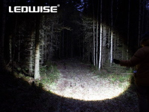 LEDWISE ROGUE LED MINITASKULAMPPU 14