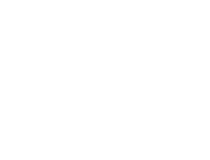 Mobiilikoneikot