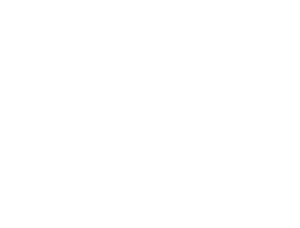 Siipipumput