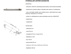 HYDRAULISYLINTERI 63X40X700 3