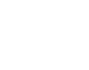 BSP-nipat