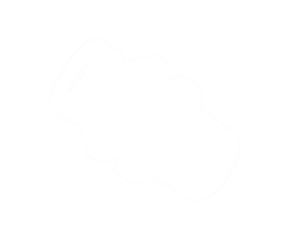Haponkestävät BSP-nipat