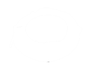 Letkunsuojaspiraalit