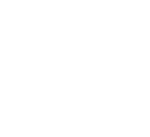 Lujuusluokka 4.6