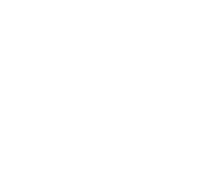 T-paidat