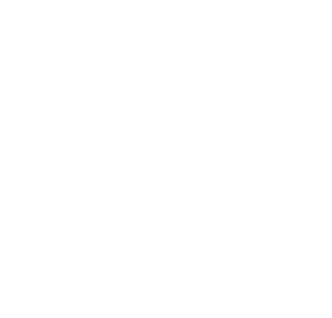 Nippusiteet