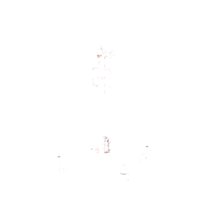 Vaihdelaatikkonostimet