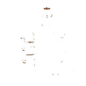 Keskusvoitelujärjestelmät