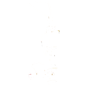 Pullokärryt