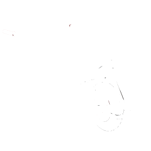 Kottikärryt