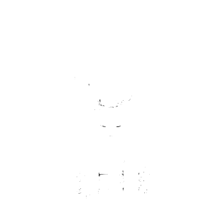 Leikarit