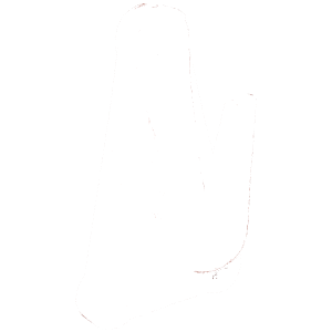 Nostokoukut