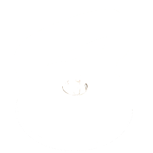 Imukuppinostimet