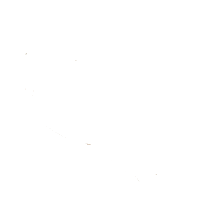 Kauhankynsi CAT-tyyppi