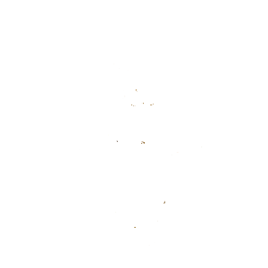 Lietevaunupumppujen varaosat