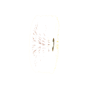 Harjalamellit